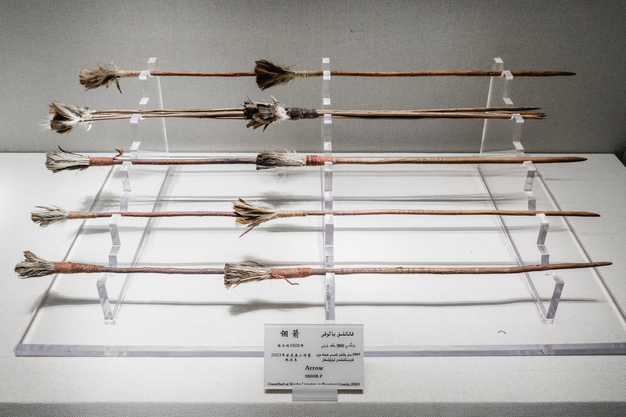 乌鲁木齐博物馆里的翎箭3800年前
