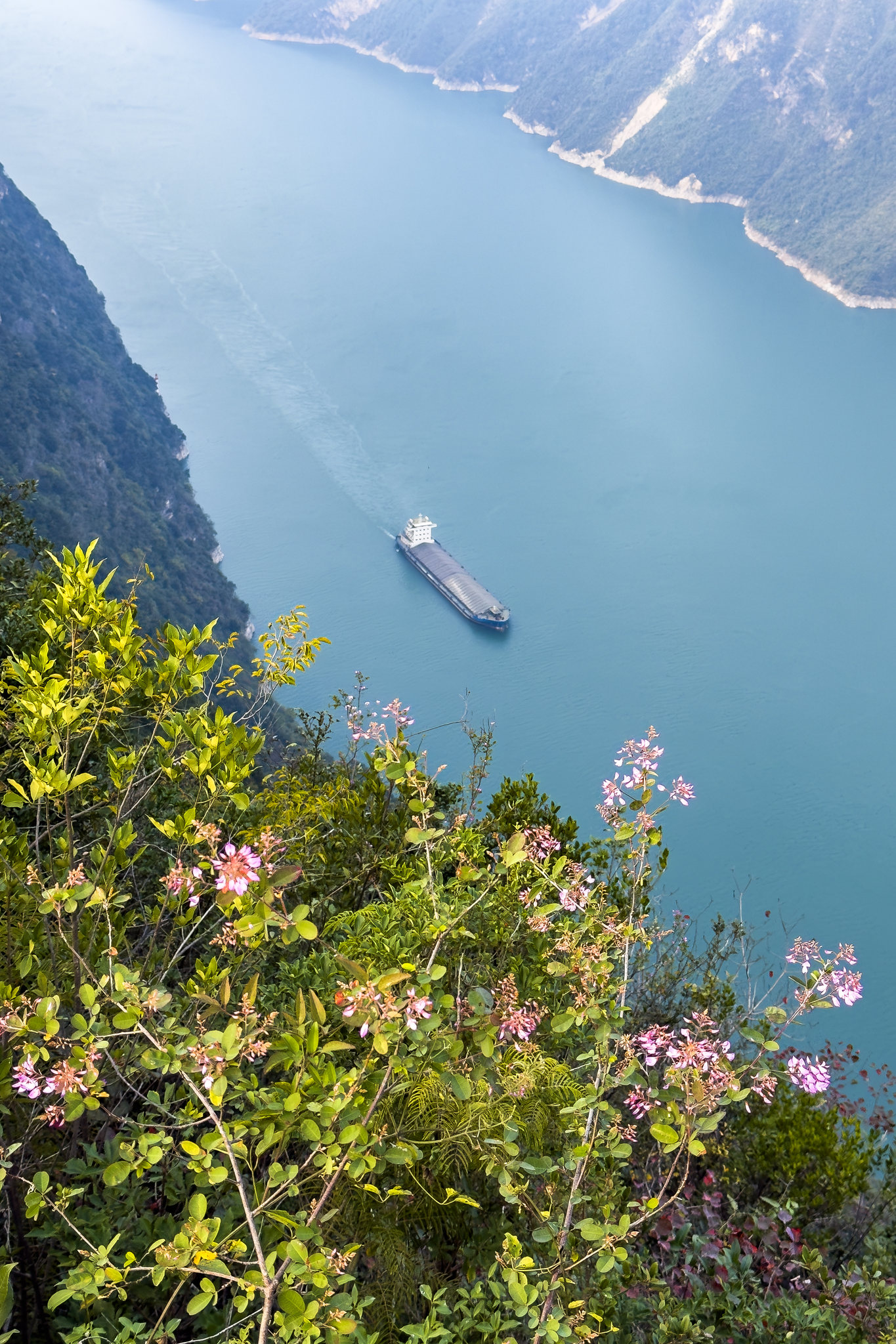 湖北宜昌长江流域繁忙的航运商船