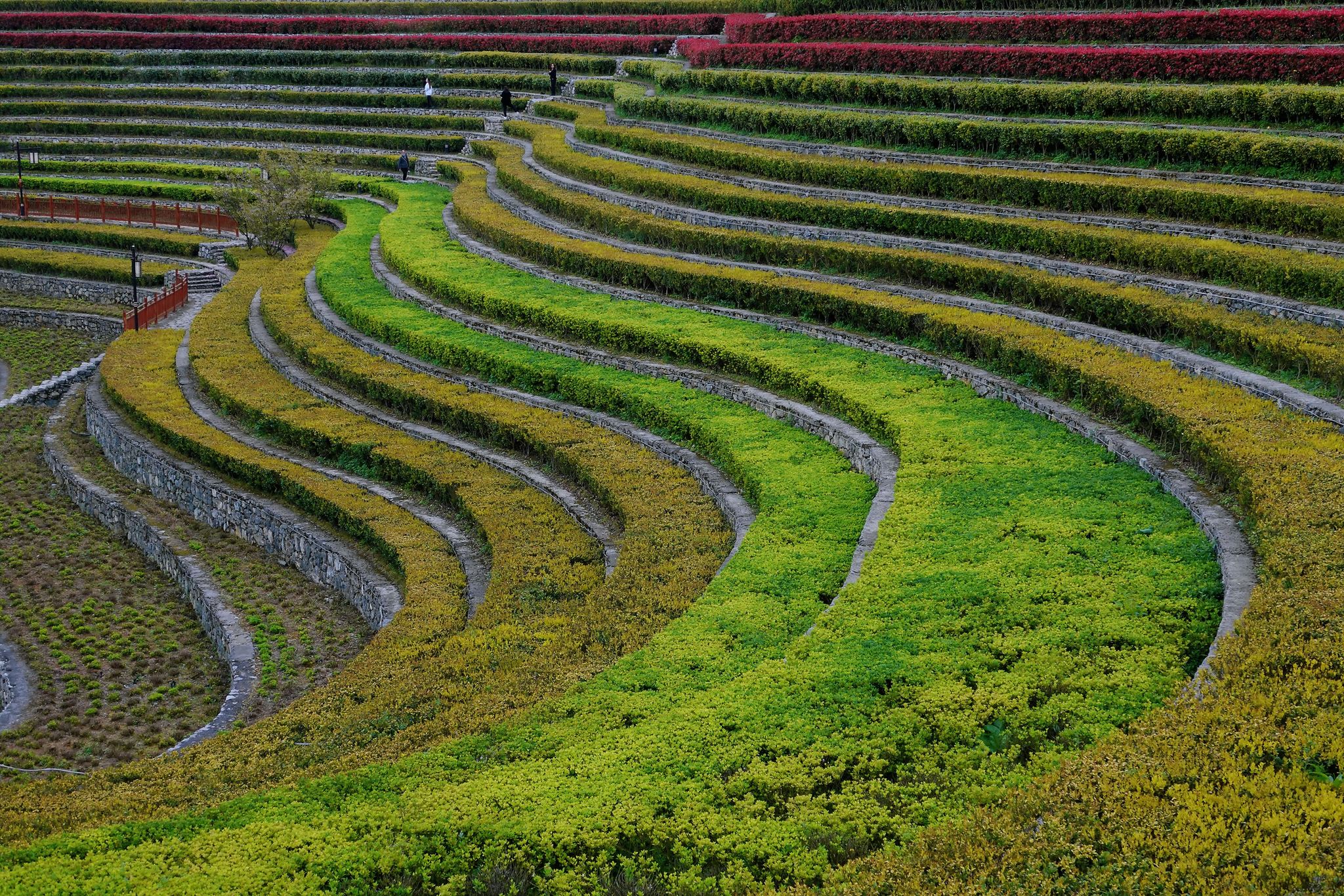 奢香梯田