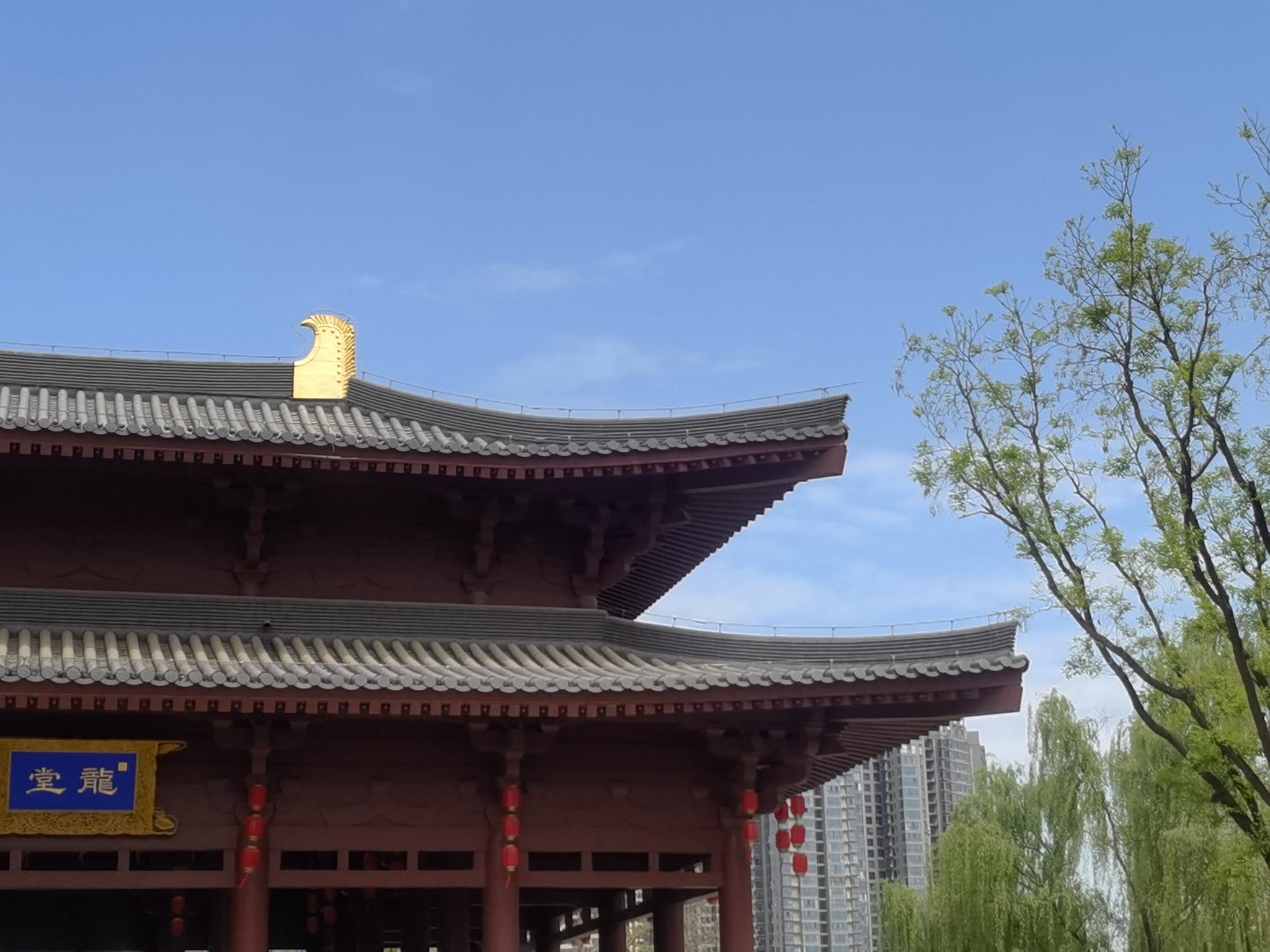 西安兴庆宫公园龙堂古建筑