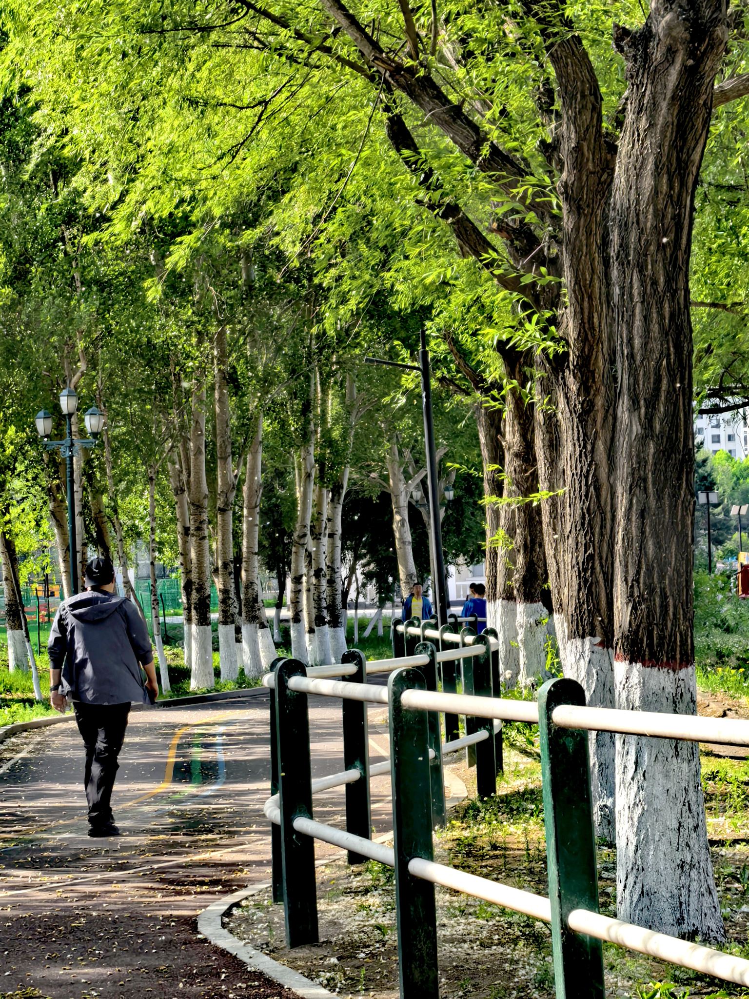 浅夏晨路摄影作品_城市风光摄影图片 - 500px摄影社区