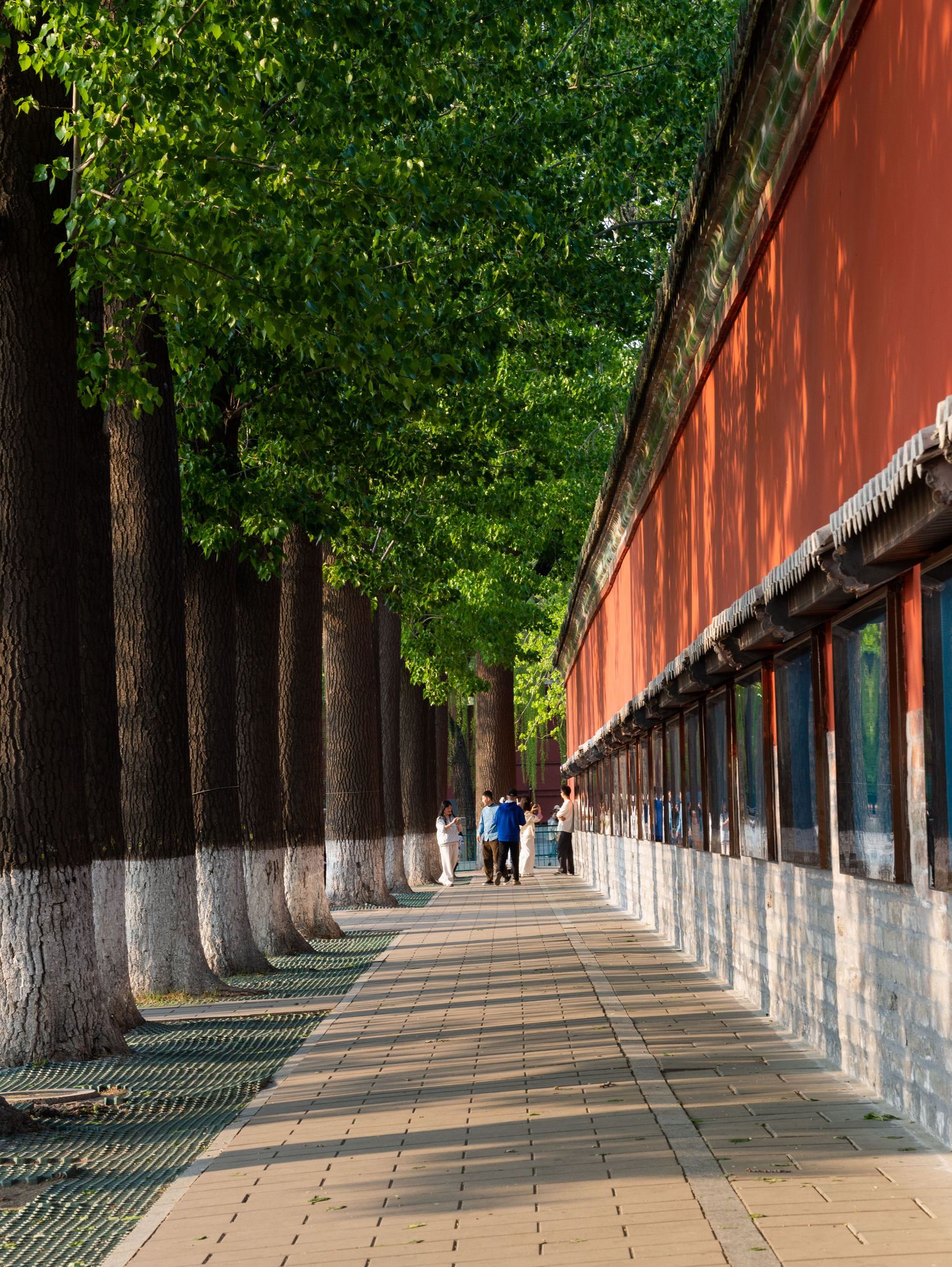 红墙绿树人行道