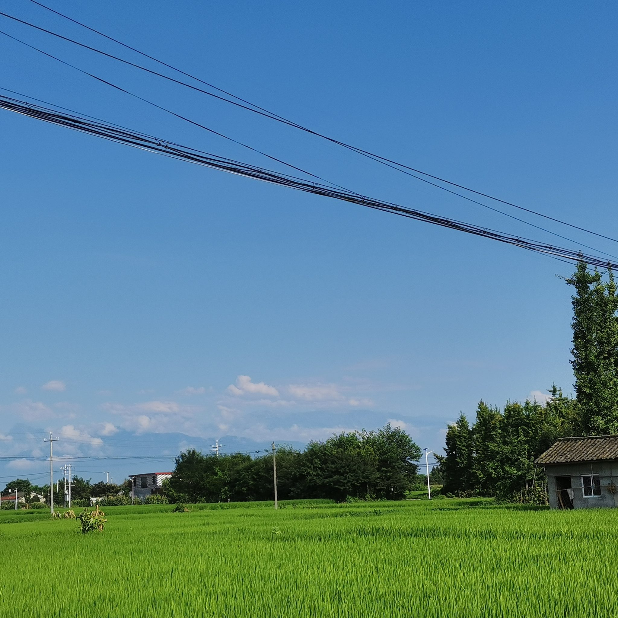 空旷的田野图片图片