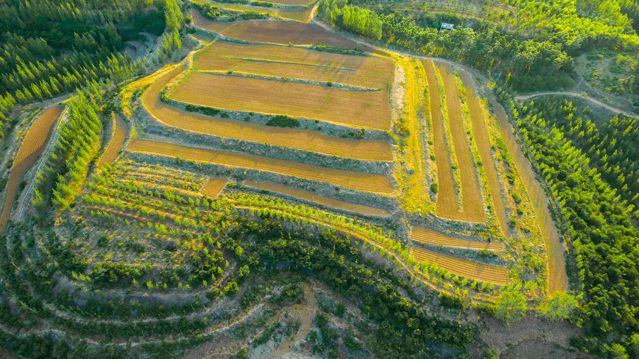 潍坊安丘太平山梯田