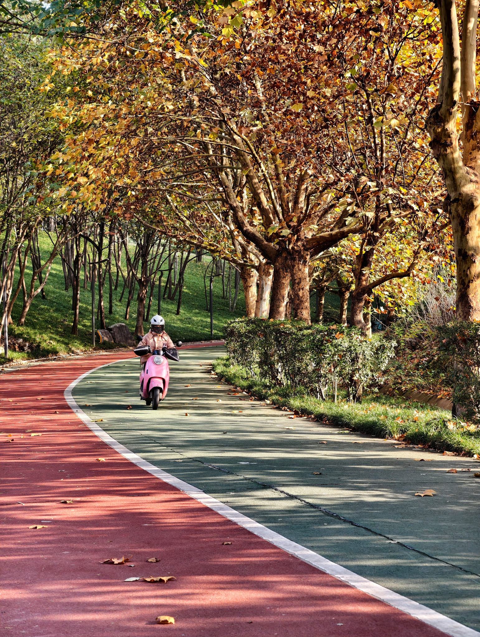 西安永阳公园的骑车人