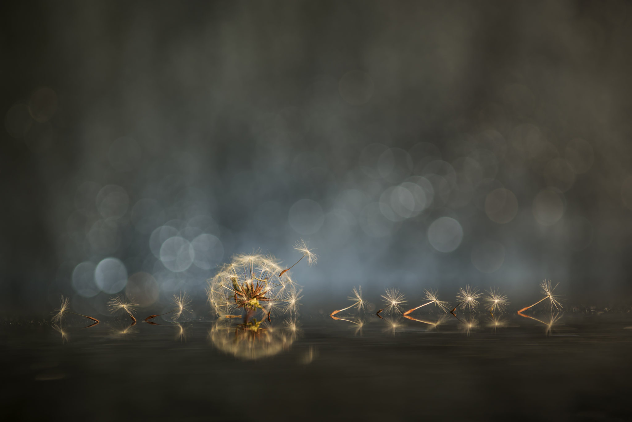 摄影作品_极简抽象摄影图片 - 500px摄影社区