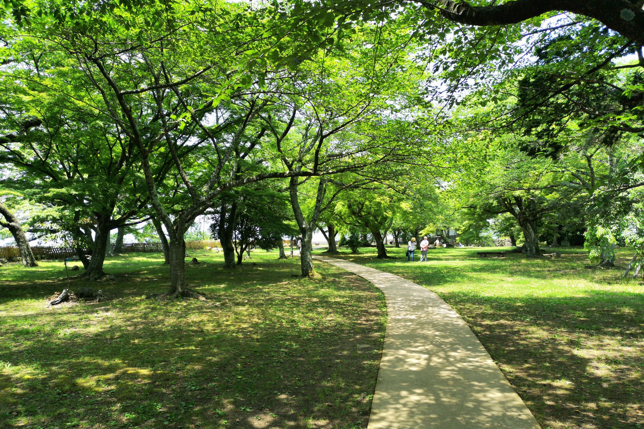 日本滋贺县彦根市,彦根城下的绿地