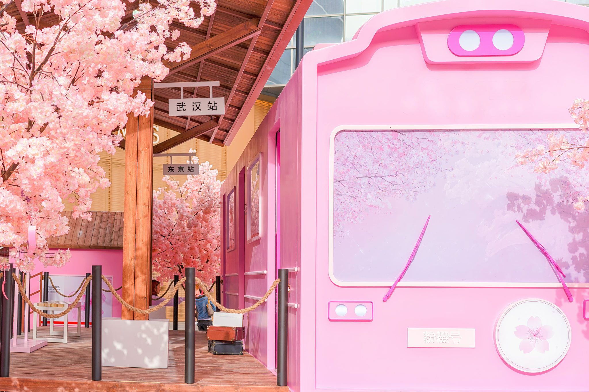 樱花列车