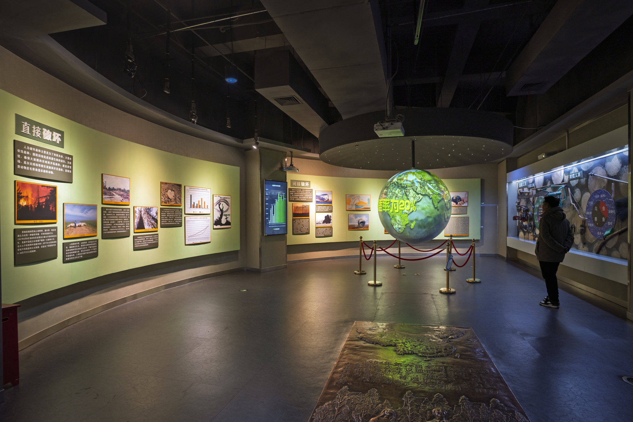 森林博物馆·森林生态